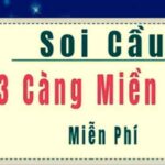 soi-cau-3-cang-mien-bac